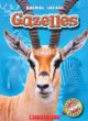 Gazelles