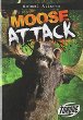 Moose attack