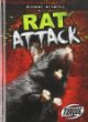 Rat attack