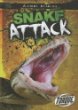 Snake attack