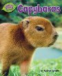 Capybaras