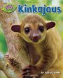 Kinkajous