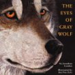 The eyes of Gray Wolf