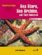 Sea stars, sea urchins, and their relatives : echinoderms