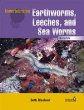 Earthworms, leeches, and sea worms : annelids