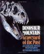 Dinosaur Mountain : graveyard of the past