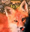 Foxes and their homes