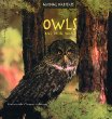 Owls and their homes