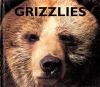 Grizzly Bears