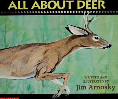 All About Deer