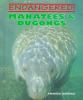 Manatees & Dugongs