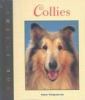 Collies