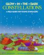 Glow-in-the-dark constellations : a field guide for young stargazers