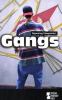 Gangs : opposing viewpoints