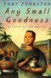 Any small goodness : a novel of the barrio