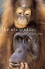 The Orangutans.