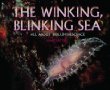 The winking, blinking sea : all about bioluminescence