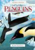 A Visual Introduction To Penguins