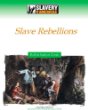 Slave rebellions
