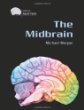 The midbrain