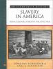 Slavery in America : from colonial times to the Civil War