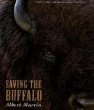 Saving the buffalo