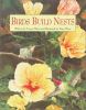 Birds Build Nests