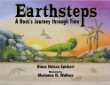 Earthsteps : a rock's journey through time