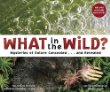 What in the wild? : mysteries of nature concealed-- and revealed ear-tickling poems