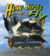 How birds fly