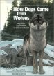 How dogs came from wolves : and other explorations of science in action