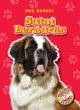 Saint Bernards