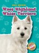 West Highland white terriers