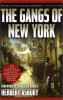 The gangs of New York : an informal history of the underworld