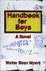 Handbook for boys : a novel