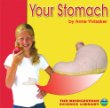 Your stomach