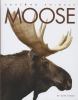 Moose