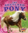 The Shetland pony