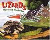 Lizards : weird and wonderful
