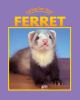 Caring For Your Ferret