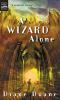 A wizard alone