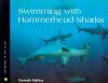 Swimming With Hammerhead Sharks