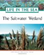 The saltwater wetland