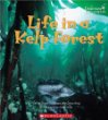 Life in a kelp forest