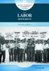 The labor movement : unionizing America