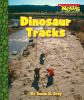 Dinosaur Tracks