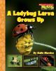 A ladybug larva grows up