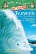 Tsunamis and other natural disasters : a nonfiction companion to High tide in Hawaii