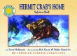 Hermit crab's home : safe in a shell