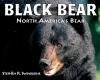 Black Bear : North America's bear